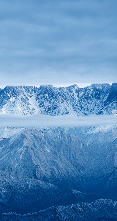 关于亚星管理平台